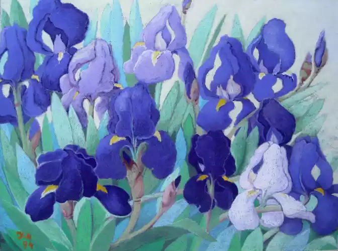 6-iris-bleues-1994.webp